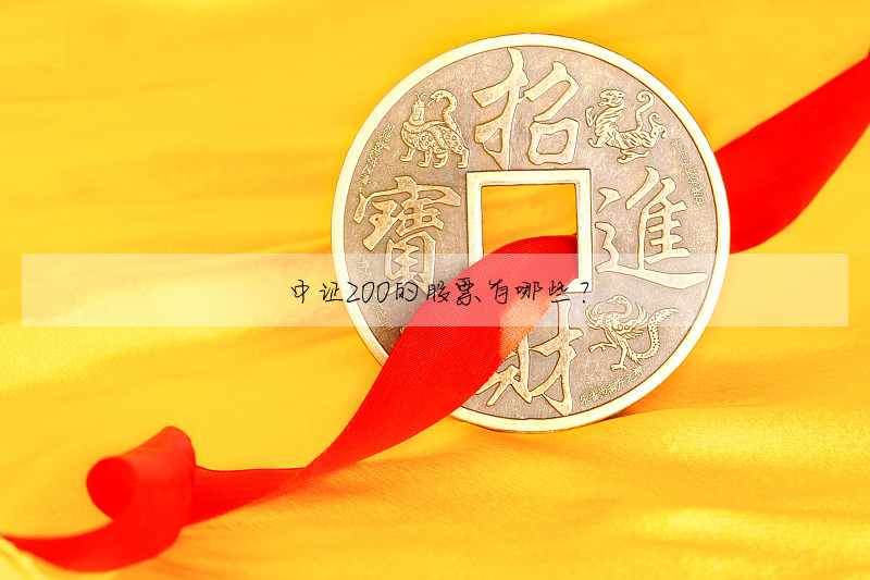 中证200的股票有哪些?