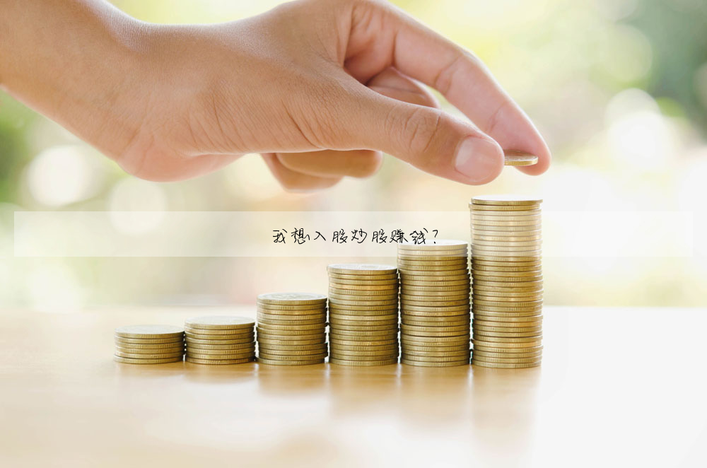 我想入股炒股赚钱?
