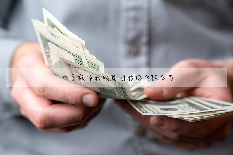 中国保华控股集团股份有限公司