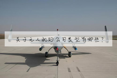 关于无人机的公司类型有哪些?