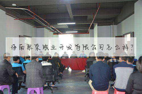 海南聚荣农业开发有限公司怎么样?