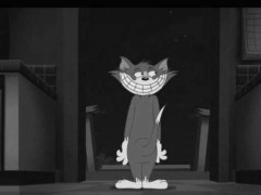 1945年发生在美国的猫和老鼠灵异事件,真相出乎你的意料