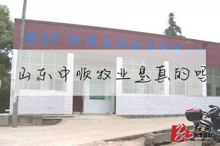 山东中顺牧业是真的吗