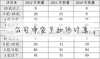 公司净资产如何计算