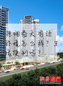 滟澜春天周边环境怎么样?生活便利吗?