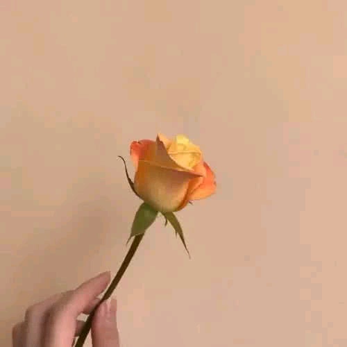 个性签名温柔干净，个性签名温柔干净高级感