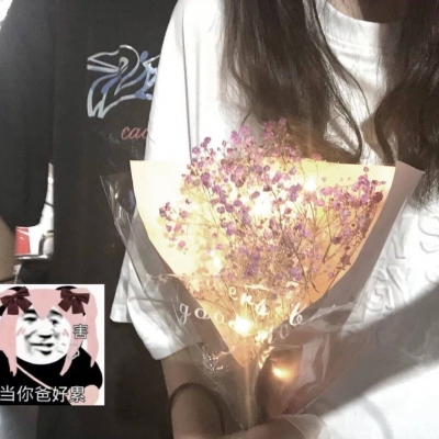 b站播放量自助平台 - b站人气自助平台,B站业务下单平台
