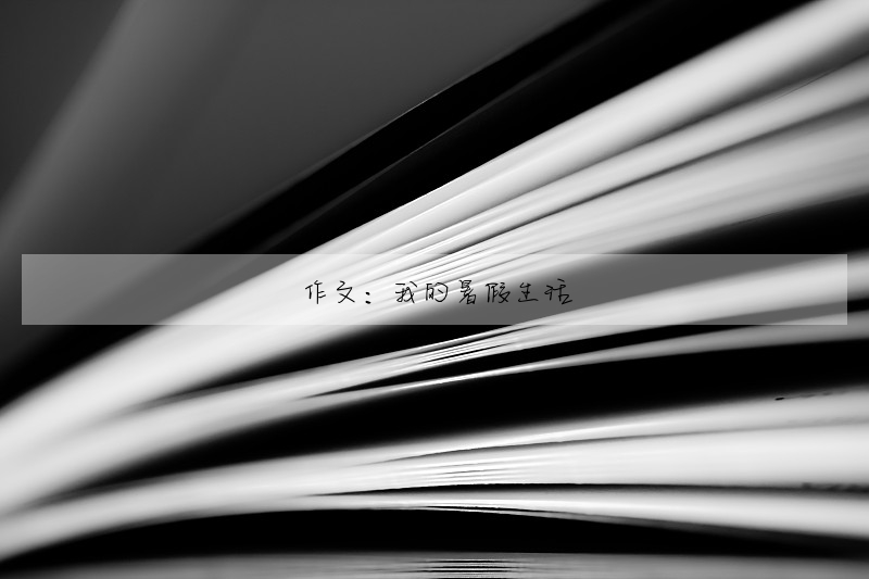 作文:我的暑假生活