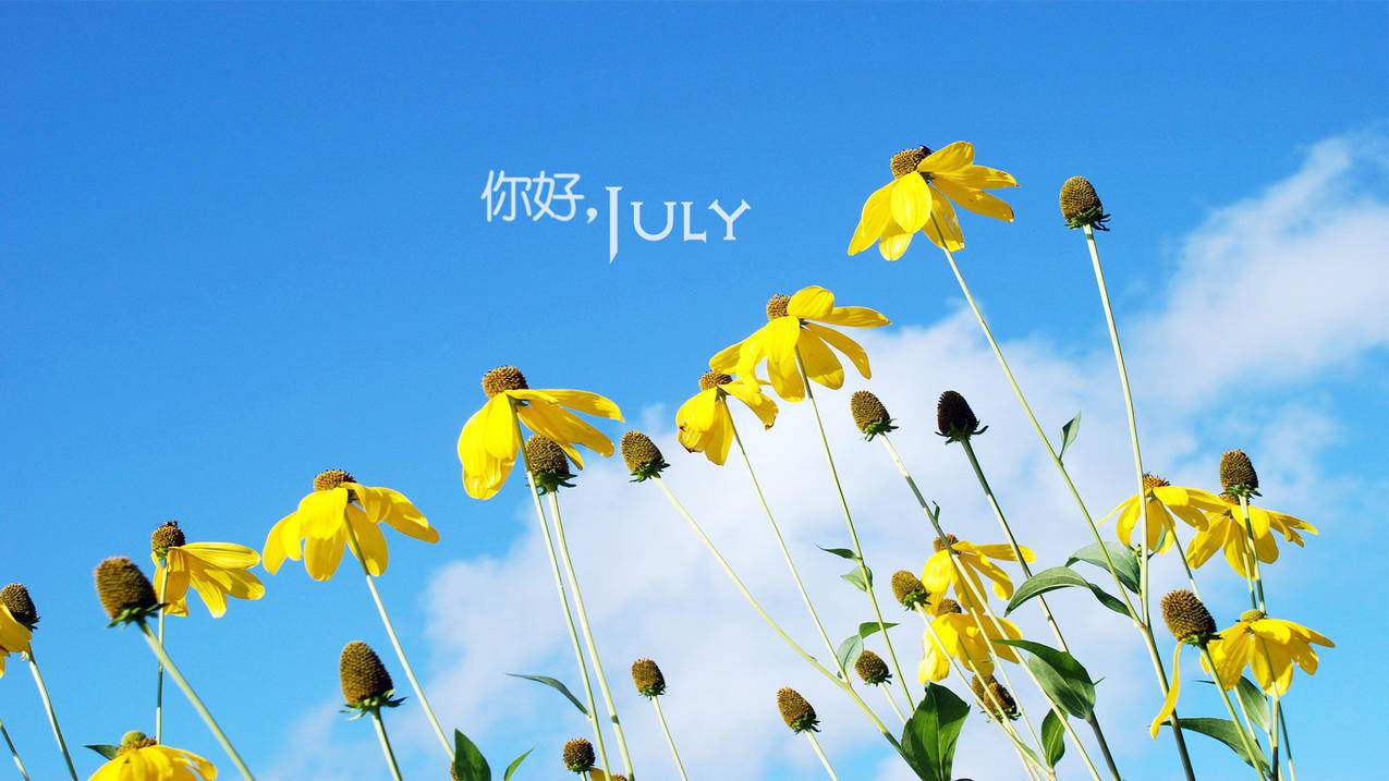 快手刷双击免费的 -