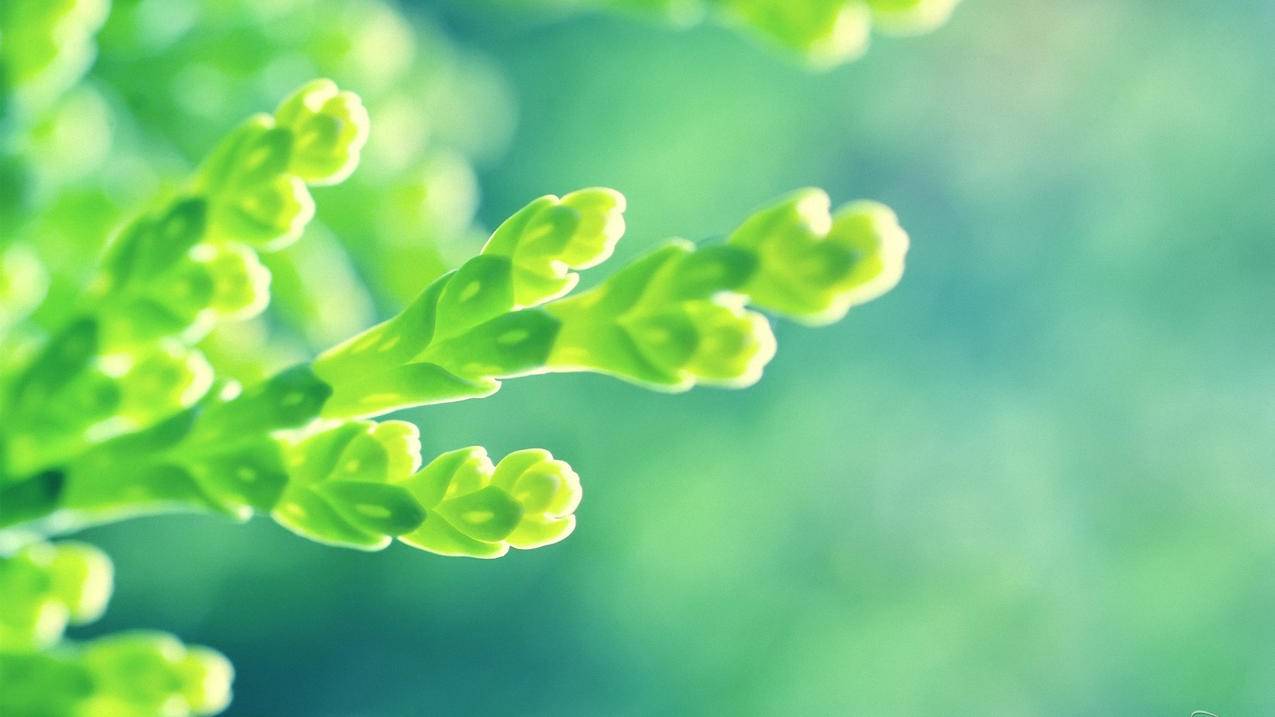 快手业务平台全网最低