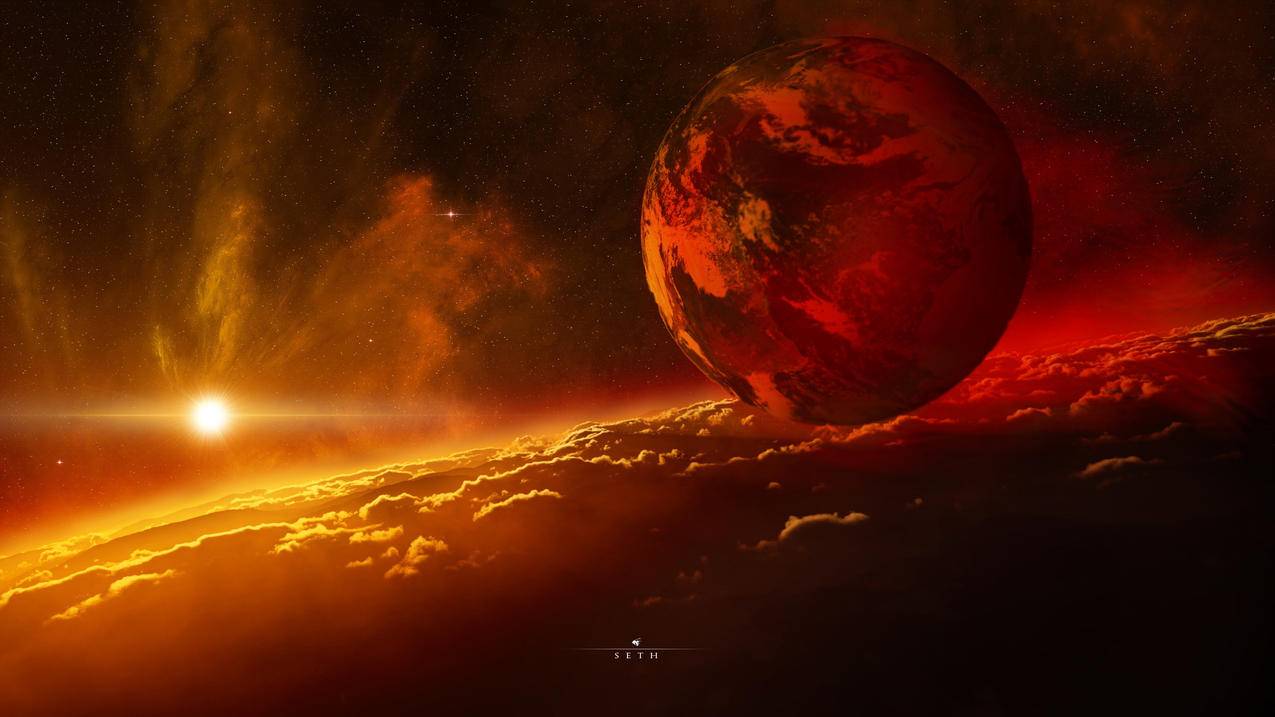 快手业务真人平台-x