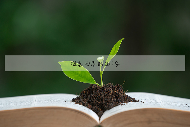 难忘的寒假200字