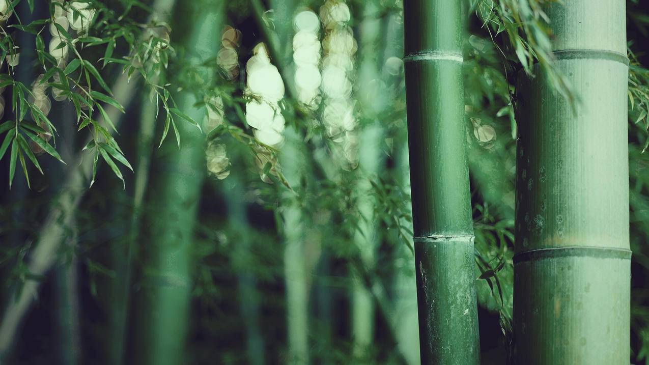 5毛100赞快手 - 云权益自助下单商城