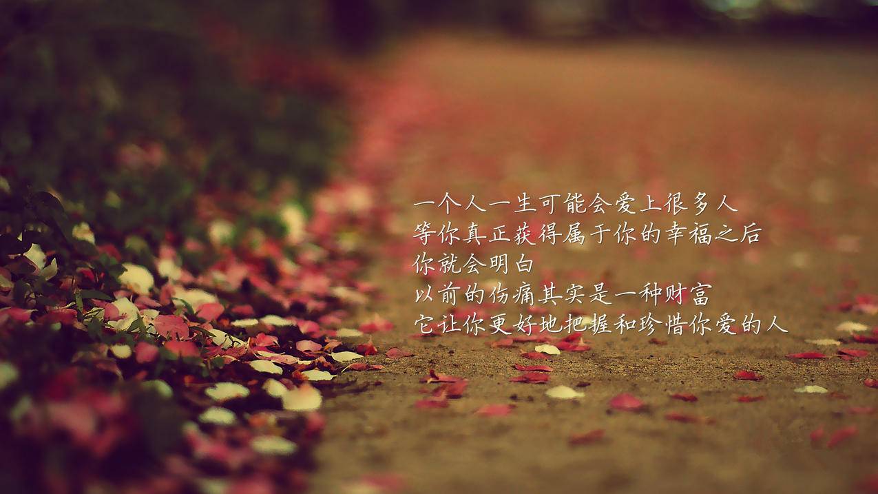 快手粉丝一元涨100