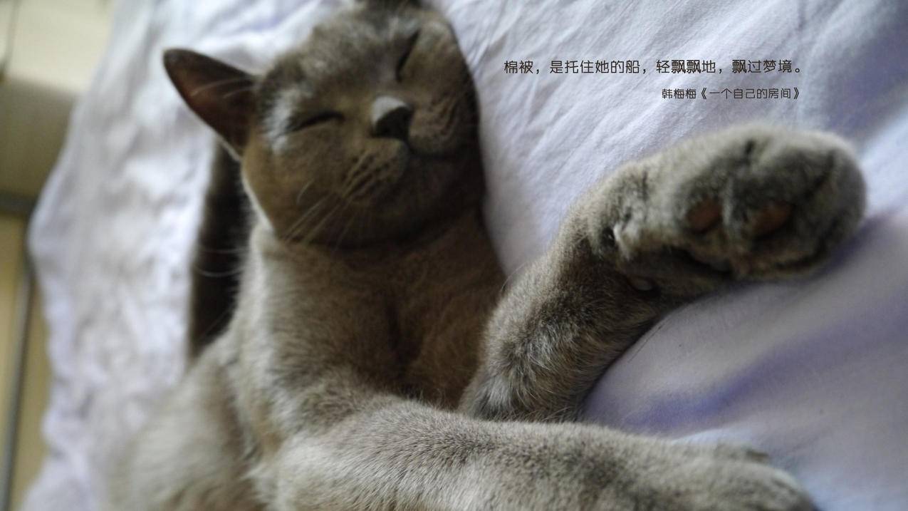 抖音业务24小时在线