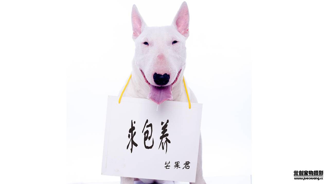 ks低价下单平台-快