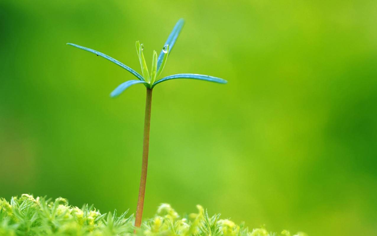 信息价值网 - 链接到前一个,顶尖数据恢复软件破解版|制作视频软件