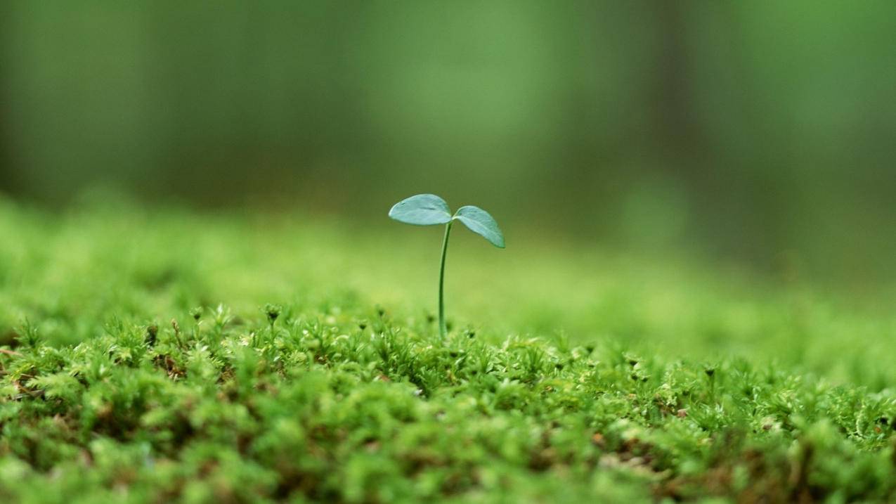 黑科技自助下单商城 