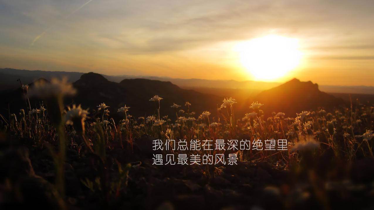 dy免费24小时下单