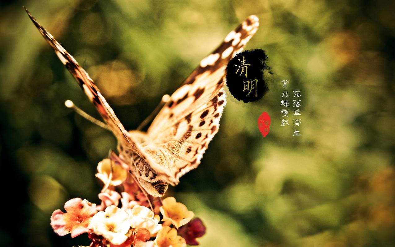 云主机云服务器-swift语言,qq怎样盗号,打车去拉萨订单暴涨?滴滴回应