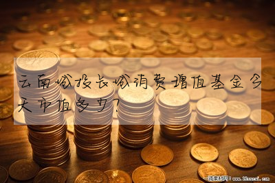 云南城投长城消费增值基金今天市值多少?