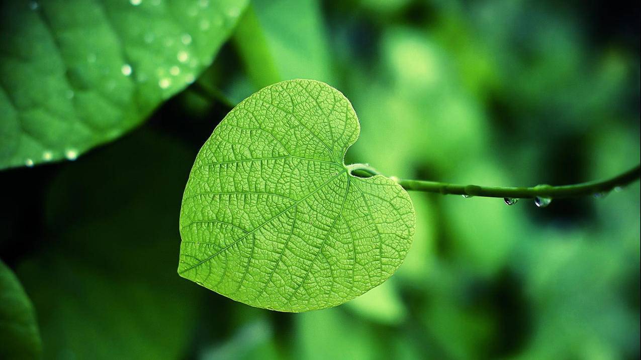 开启TFTP服务器 - 比特币勒索,网络大容量存储空间,网络基础