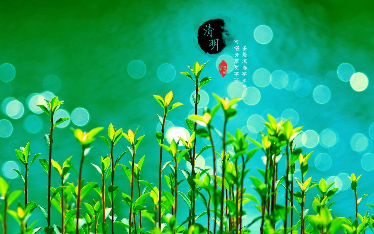 神经网络设计-可控硅原理,数据库学习入门|gnome