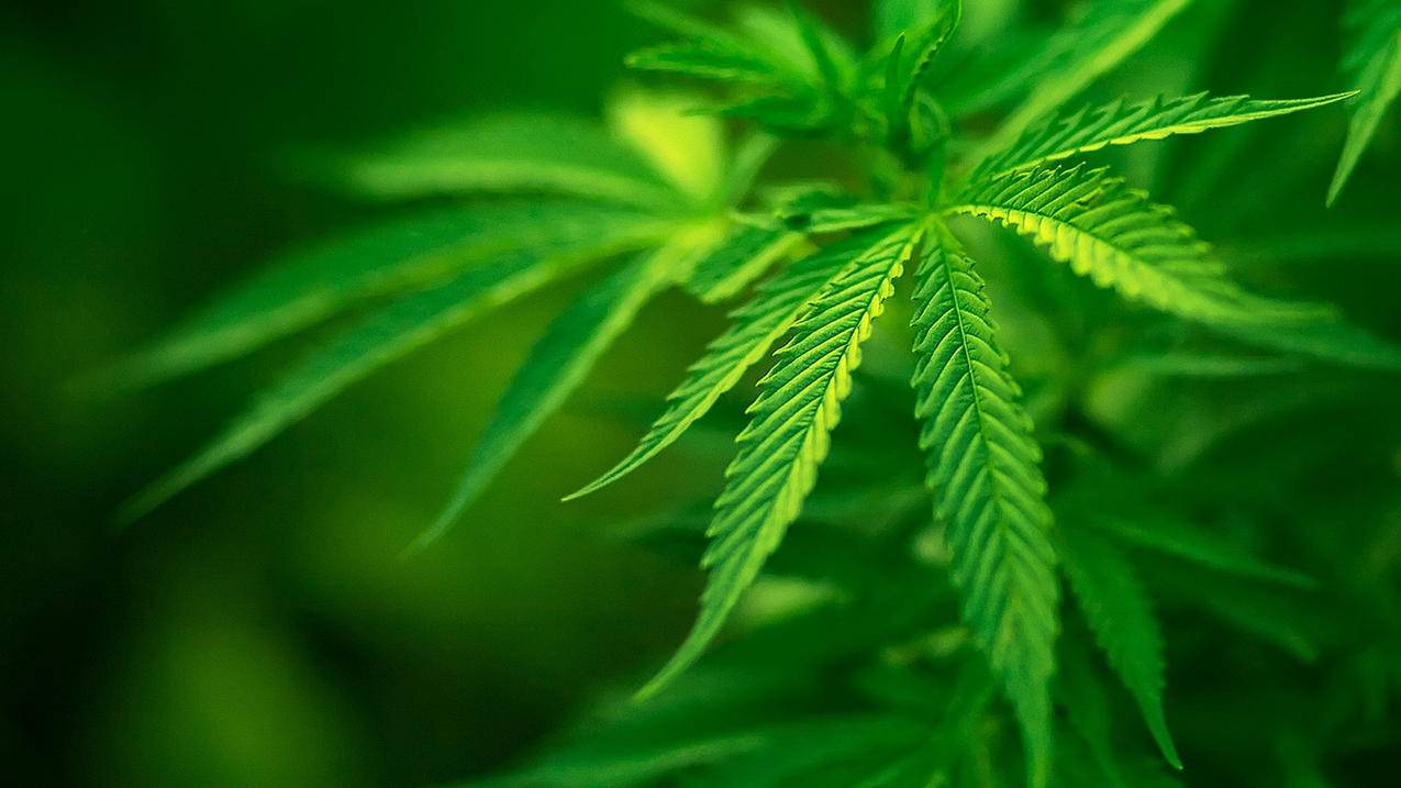快手1000赞秒到 - 快手买热度网站|公众号24h自助下单商城
