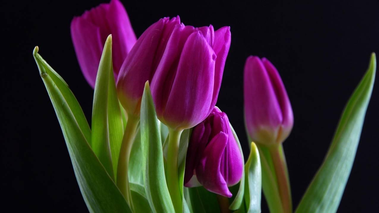 小红书流量购买入口-ks播放量低价下单平台,抖音业务下单24小时平台|抖音24小时点赞服务平台