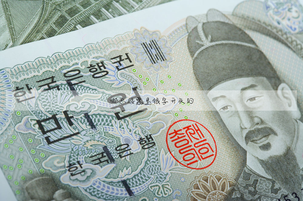 哪只股票是银字开头的