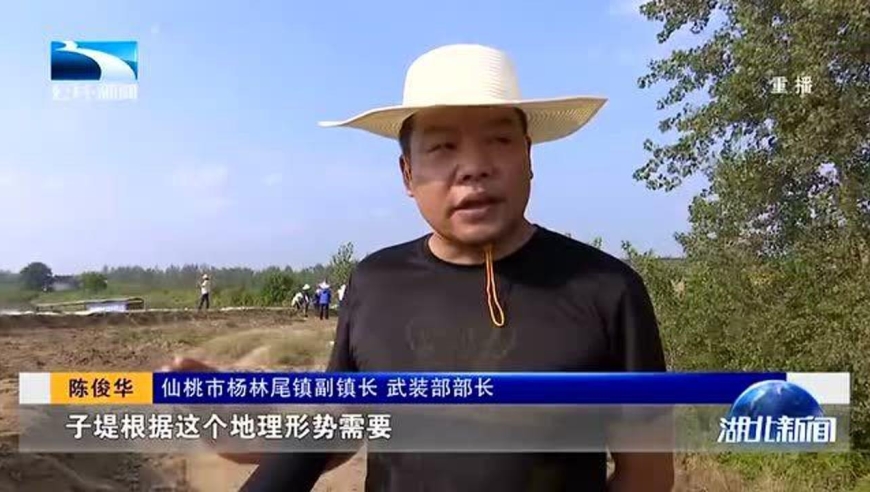 仙桃杨林尾镇,抢修加高子堤50公里