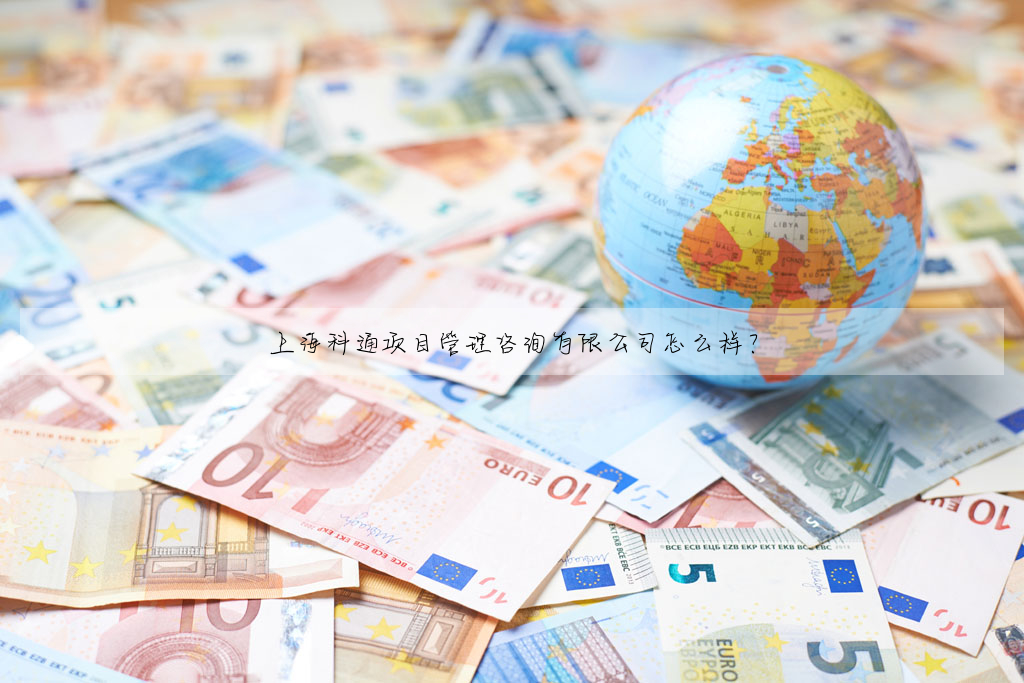 上海科通項目管理咨詢有限公司怎麼樣?