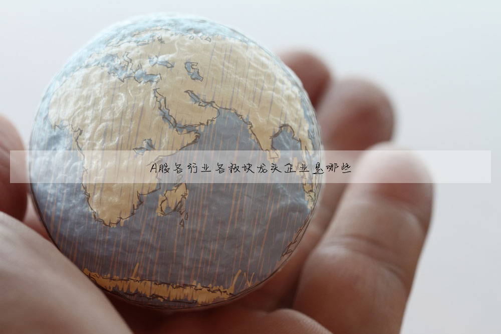 A股各行業各闆塊龍頭企業是哪些