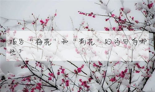 描寫“梅花”和“荷花”的詩句有哪些?