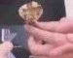 【图文】痛心！祖孙3人不幸身亡，又是吃它惹祸#蘑菇梅州市平远县