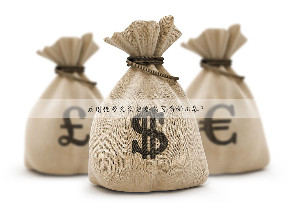 我國純經紀類證券公司有哪幾家?