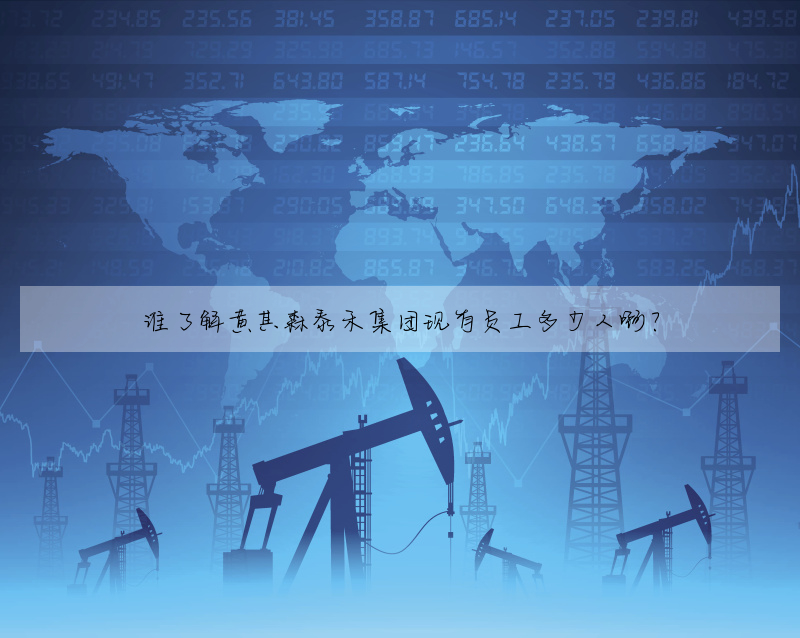 誰了解黃其森泰禾集團現有員工多少人啊?
