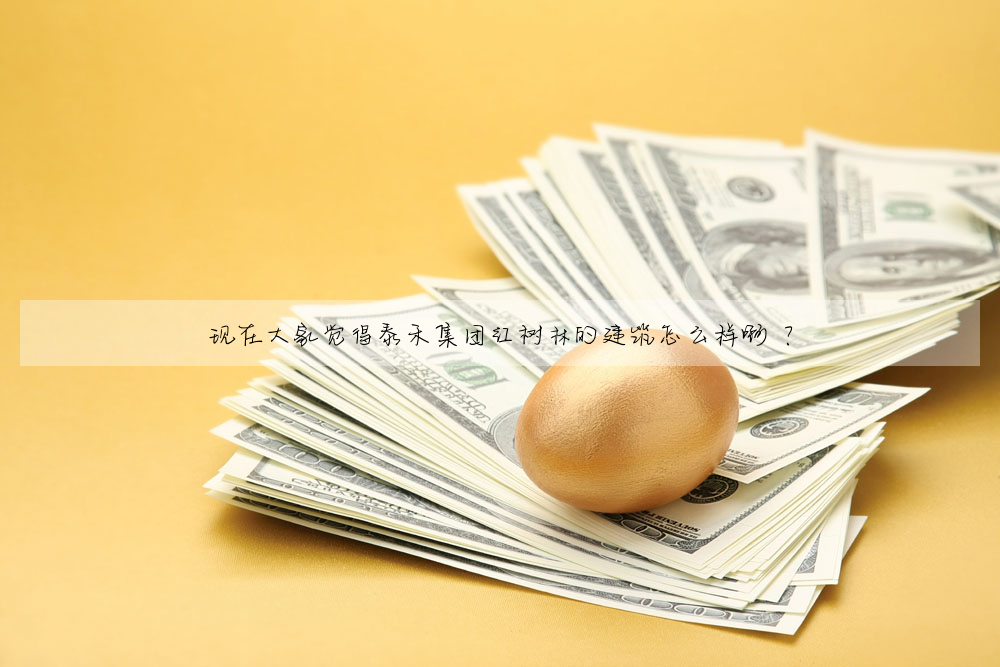 現在大家覺得泰禾集團紅樹林的建築怎麼樣啊 ?