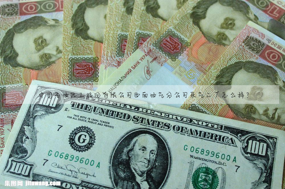 中國石油化工股份有限公司西南油氣分公司采氣二廠怎麼樣?