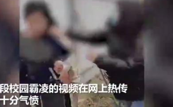 河北涿鹿通报6名学生围殴女生
