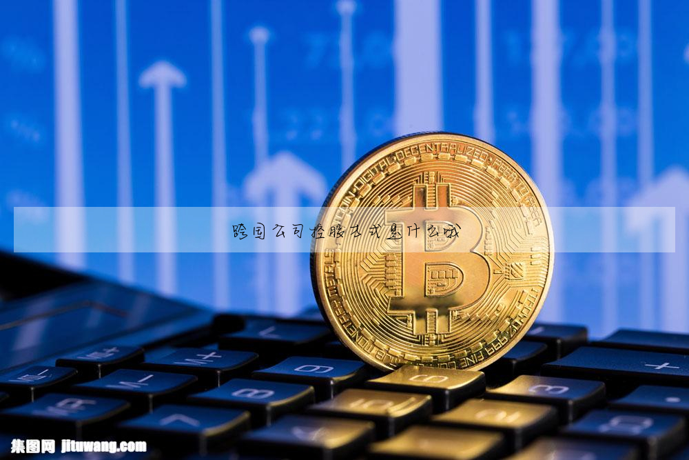 跨國公司控股方式是什麼哦