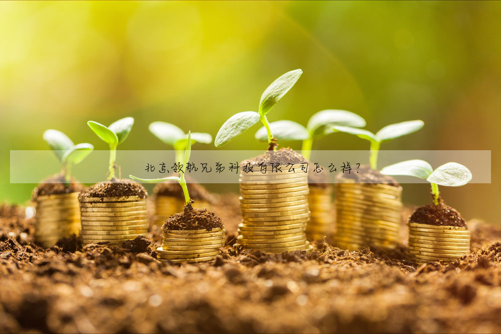 北京領航兄弟科技有限公司怎麼樣?