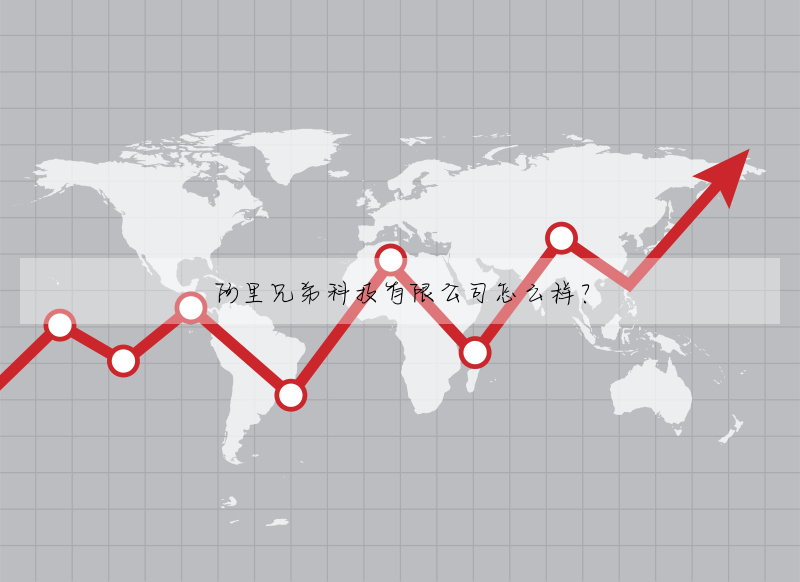 阿裡兄弟科技有限公司怎麼樣?