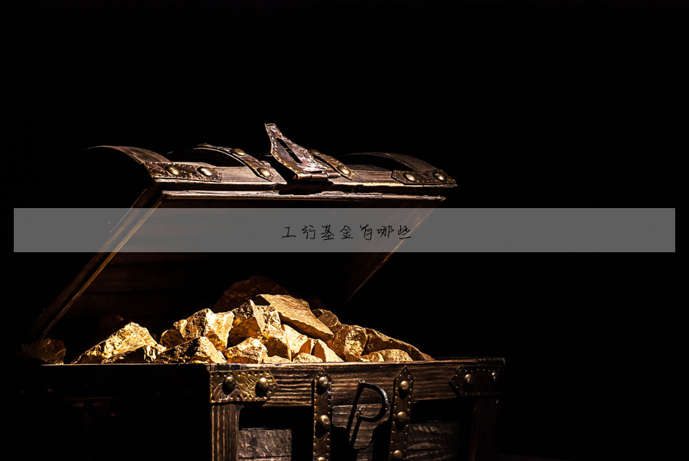 工行基金有哪些