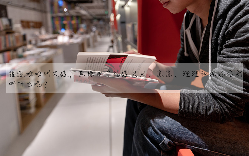 福娃欢欢叫火娃,其他四个福娃贝贝、京京、迎迎和妮妮分别叫什么呢?
