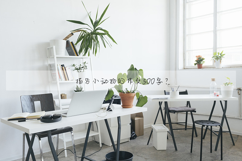 描写小动物的作文500字?