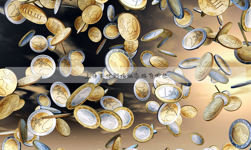 上海本地创投概念股有哪些