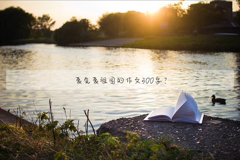 爱党爱祖国的作文300字?