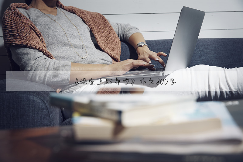 《课堂上的争吵》作文800字