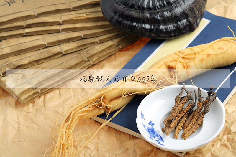 观察秋天的作文550字